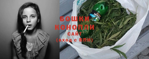 трава Бородино