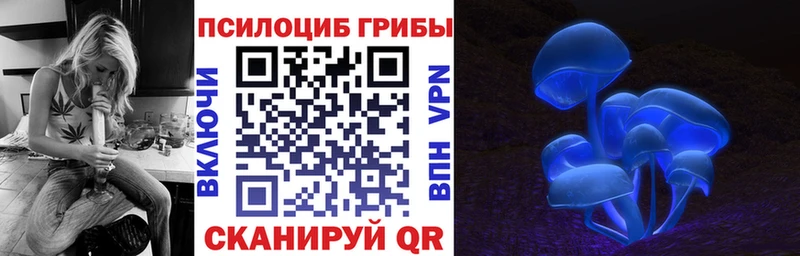 shop формула  как найти закладки  Верхотурье  Псилоцибиновые грибы прущие грибы 